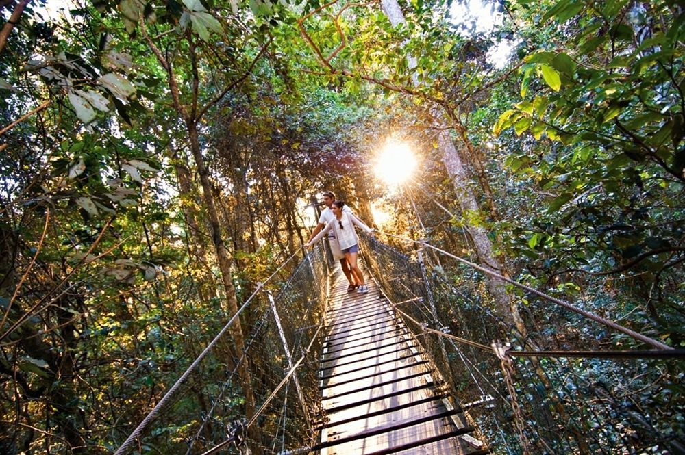 O'Reilly'S Rainforest Retreat Canungra Exterior photo