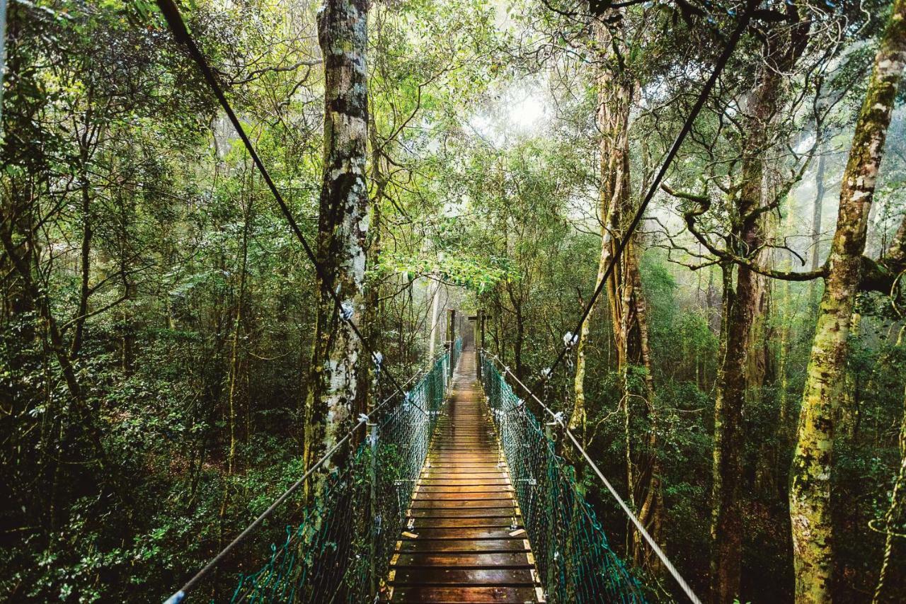 O'Reilly'S Rainforest Retreat Canungra Exterior photo